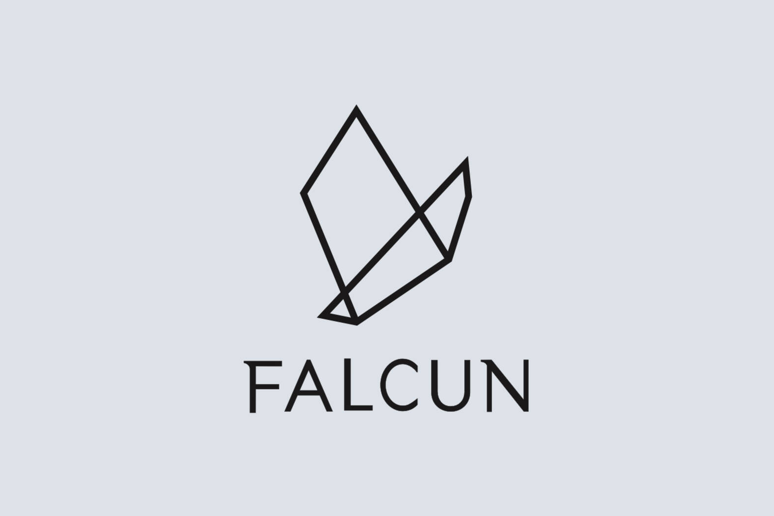 Falcun GmbH – Branding