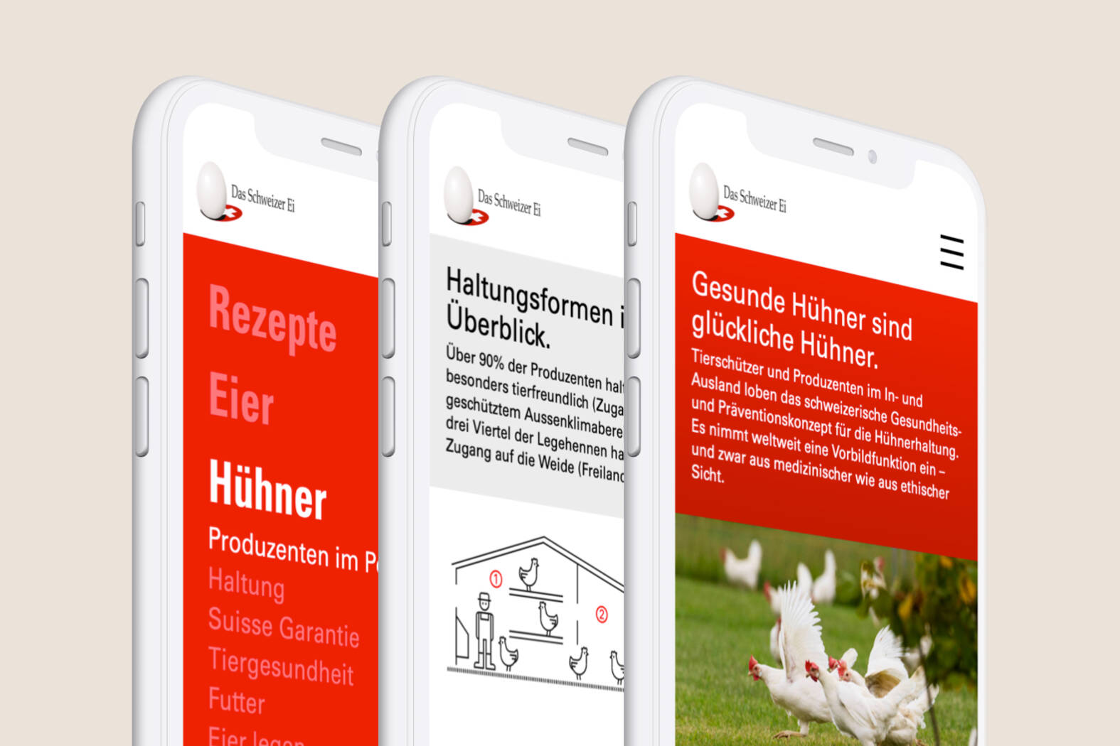 Das Schweizer Ei – Technische Umsetzung Responsive Website