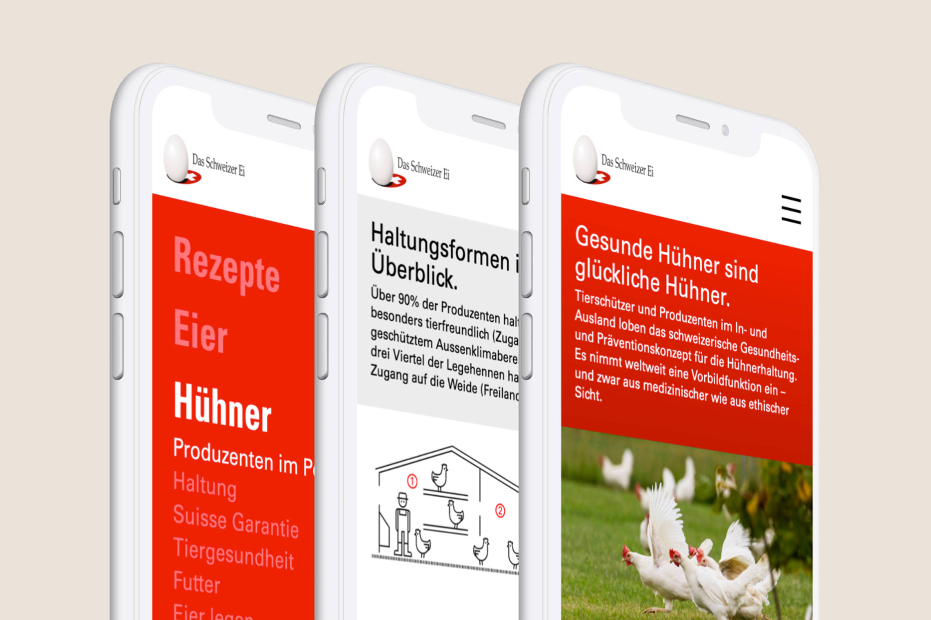 gallosuisse-responsive gallosuisse-responsive
