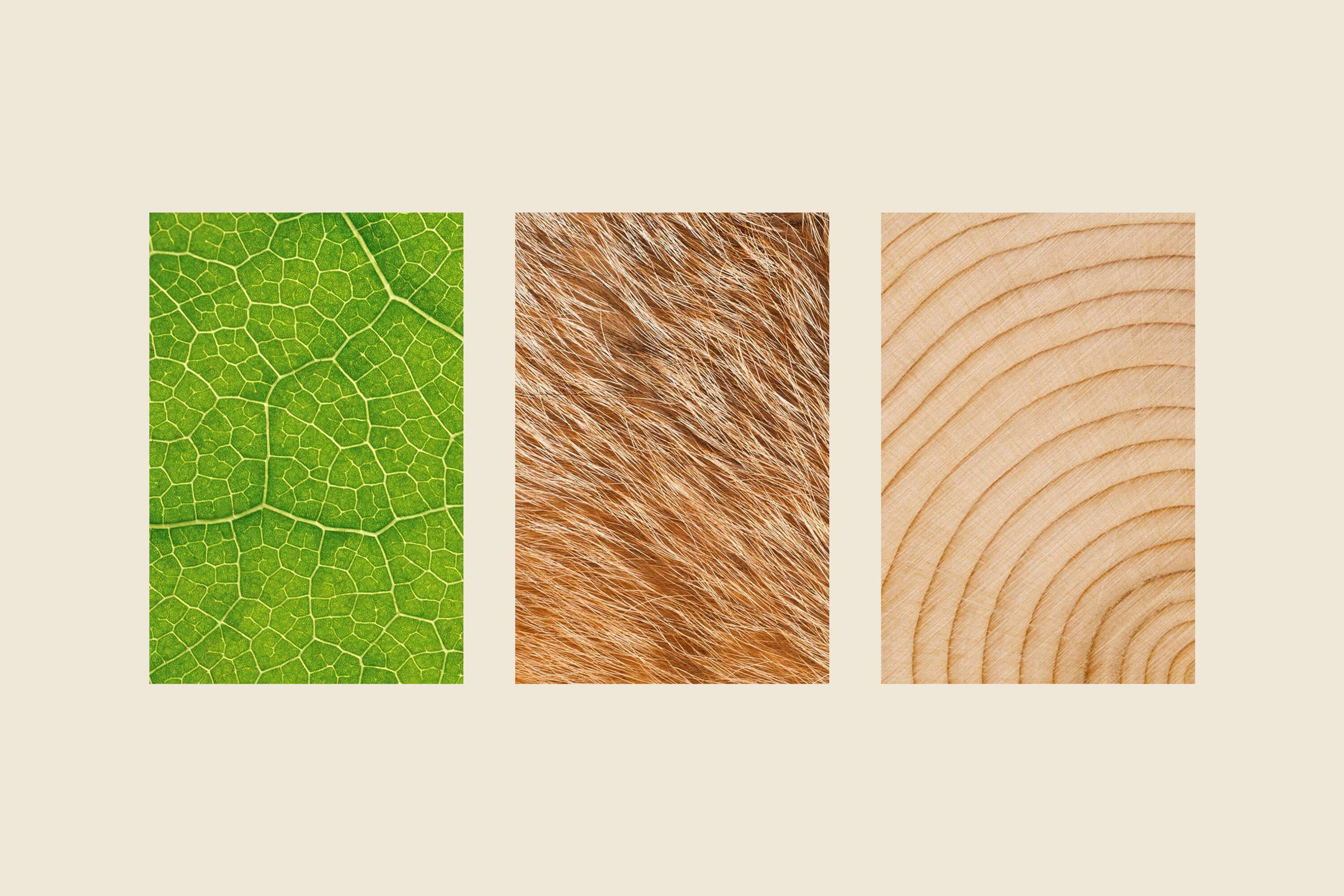 KWL Website Visuals KWL Website Visuals